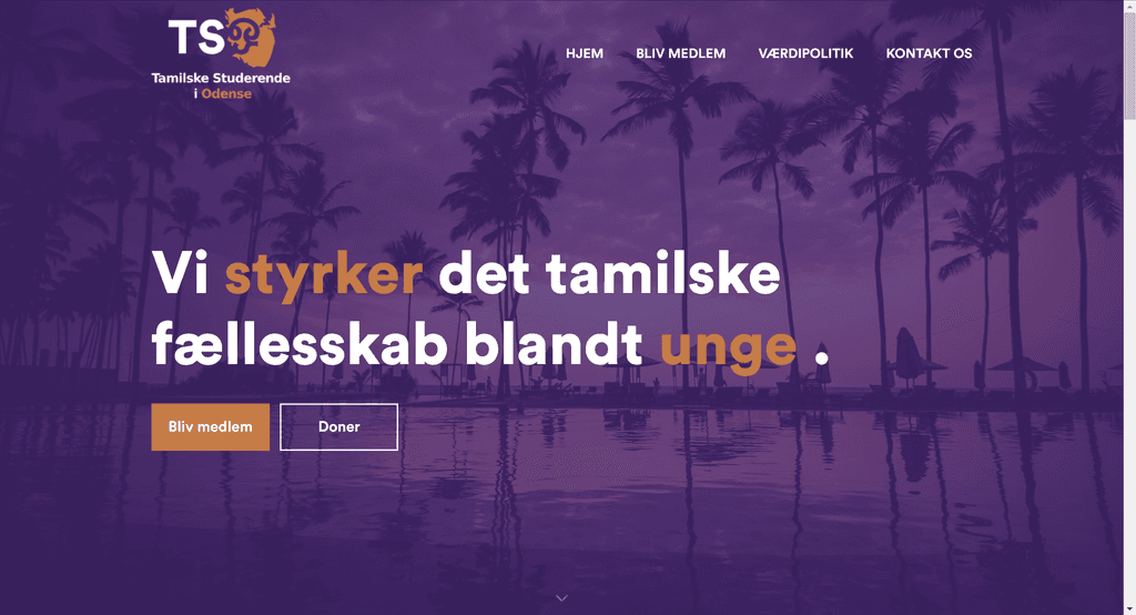 tsodense landing page