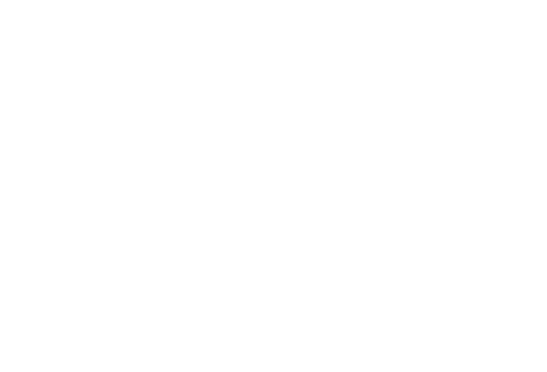 Badger Daylighting