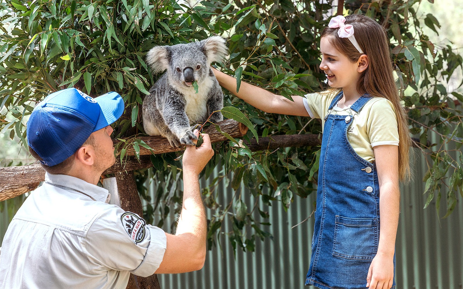 Man and girl petting a koala at Paradise Country.