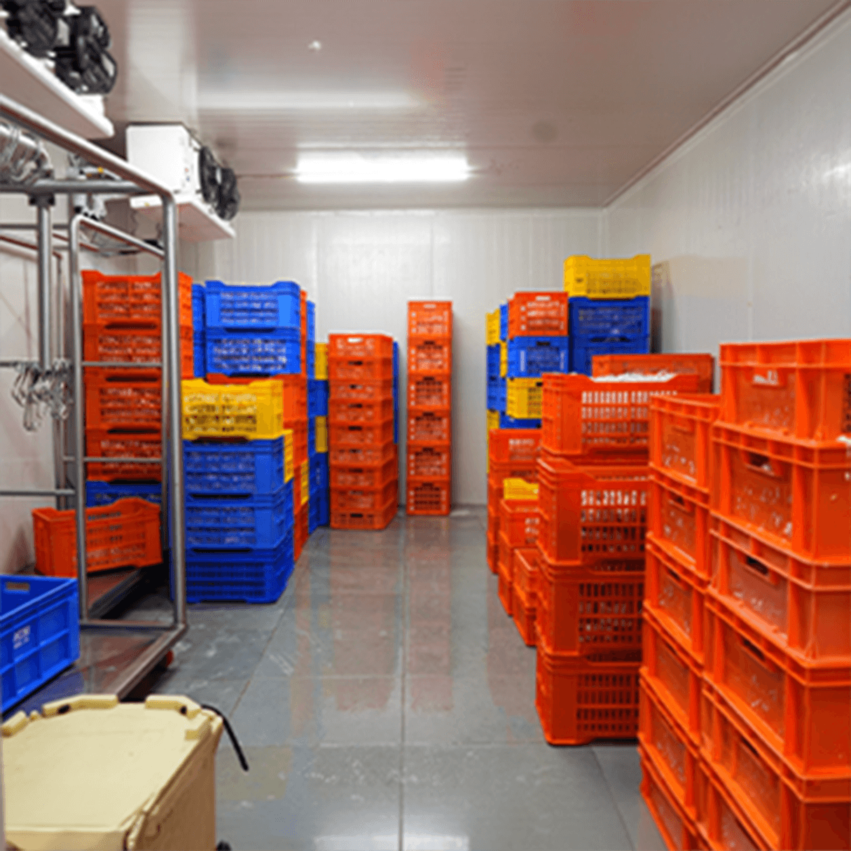 staff ensuring clean and safe product handling