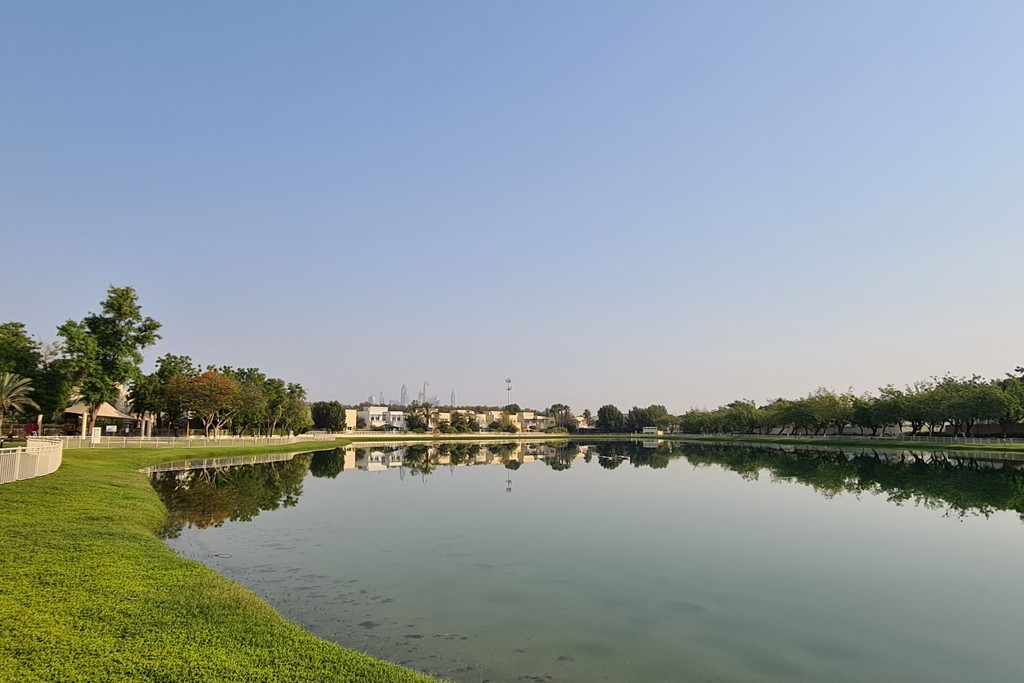 Meadows 9 park lake: serene, surrounded by grass and trees, natural beauty.