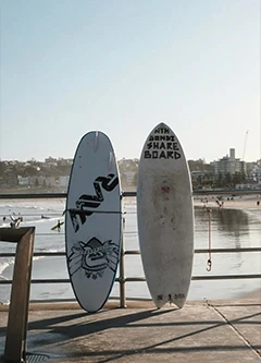 Shortboard et fishboard