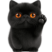 virale kat