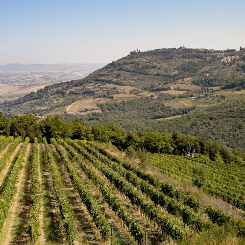 View of Montalcino