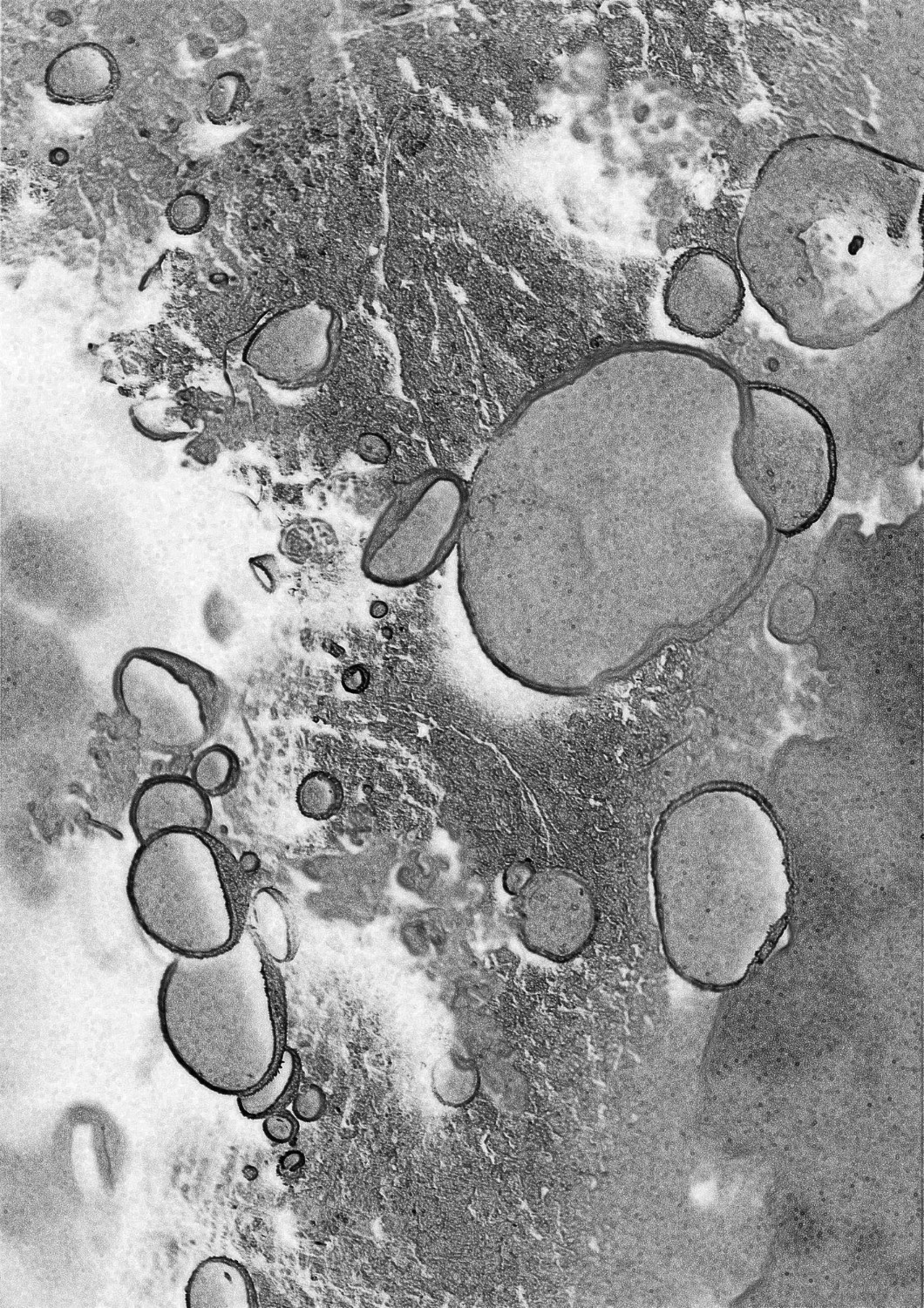 black and white decor