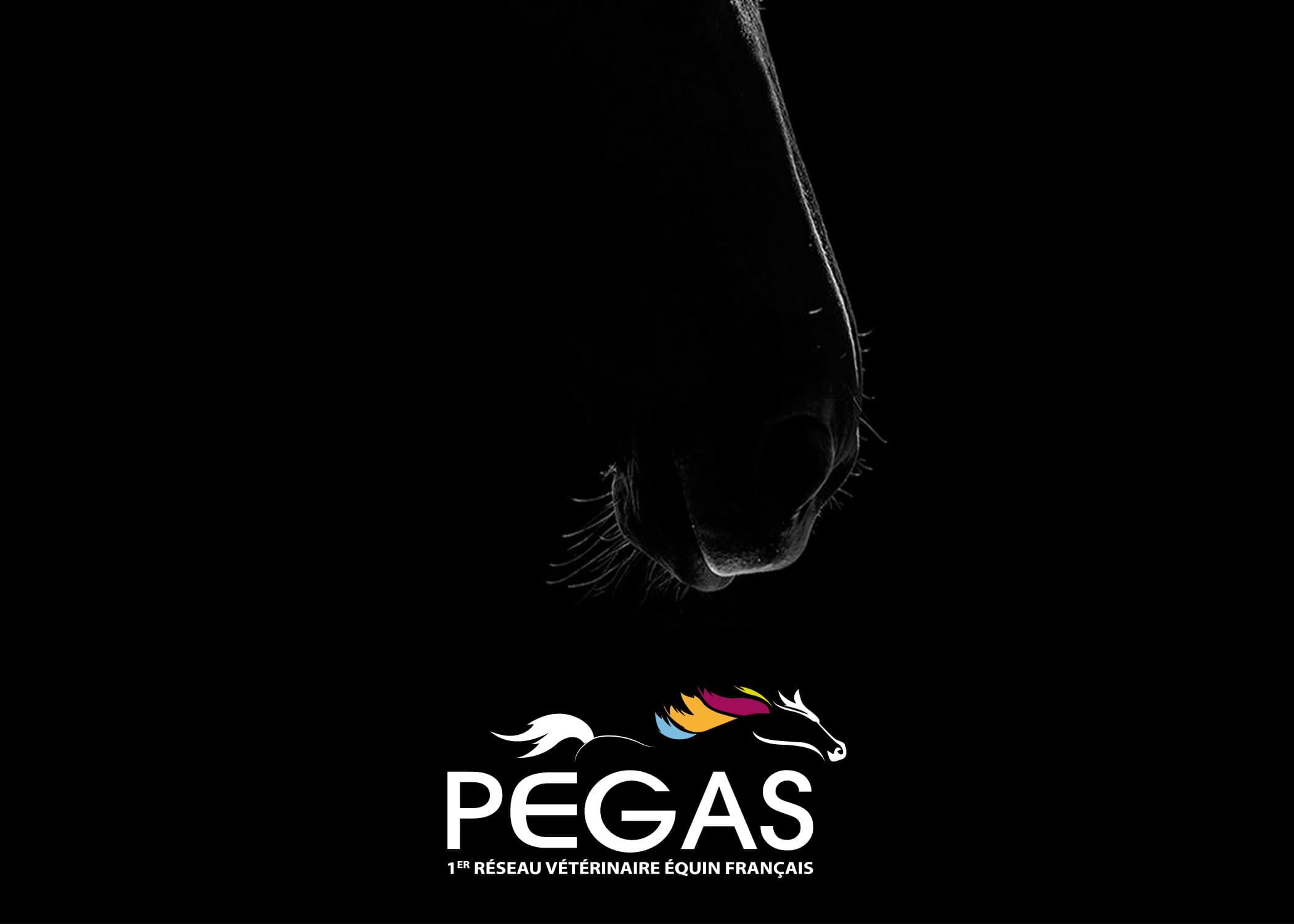 Résequ PEGAS