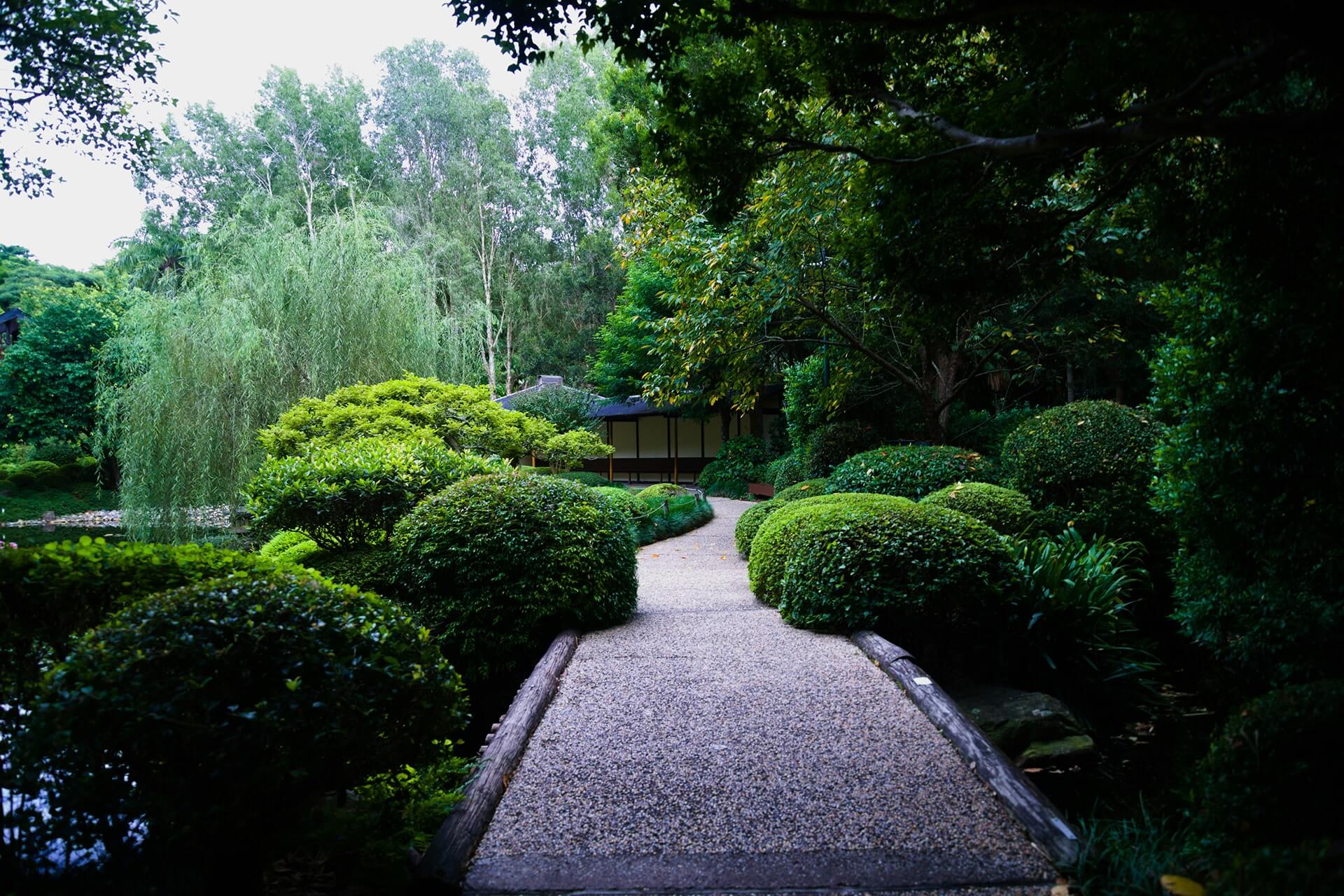 Sustainable Courtyard Garden