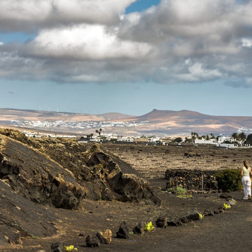 兰萨罗特：酒庄格里福葡萄酒爱好者之旅门票 - 圣巴托洛梅