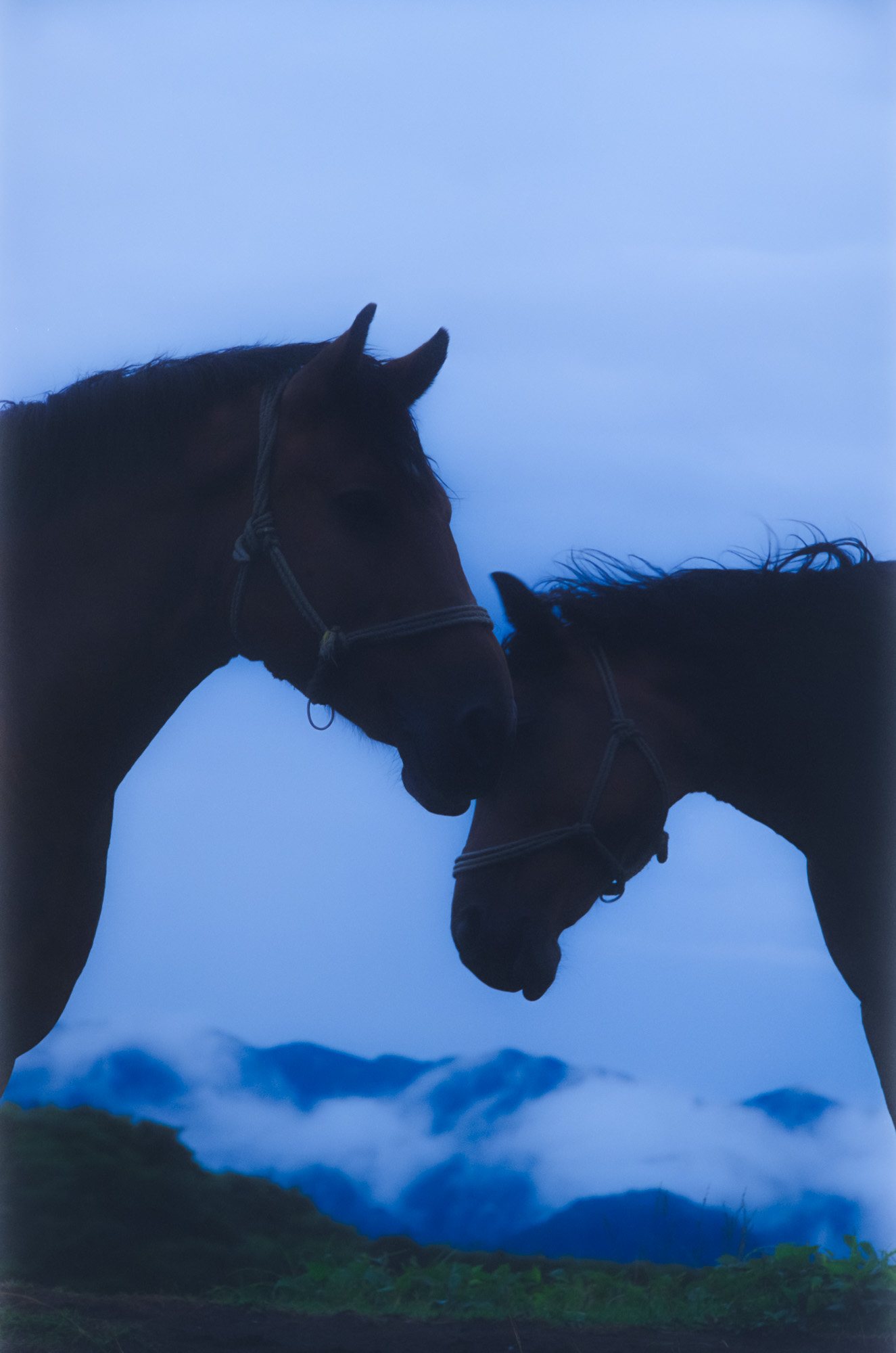 Taisei Matsumoto, archive random photograph 021