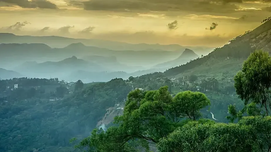 Types of Forest in Karnataka- Western Ghats.webp