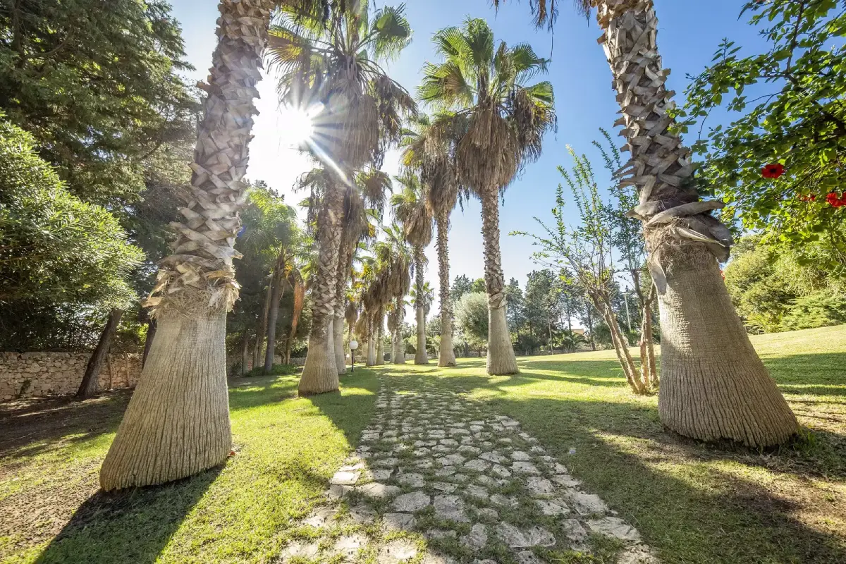 Giardino con palme e viale in una villa siciliana.