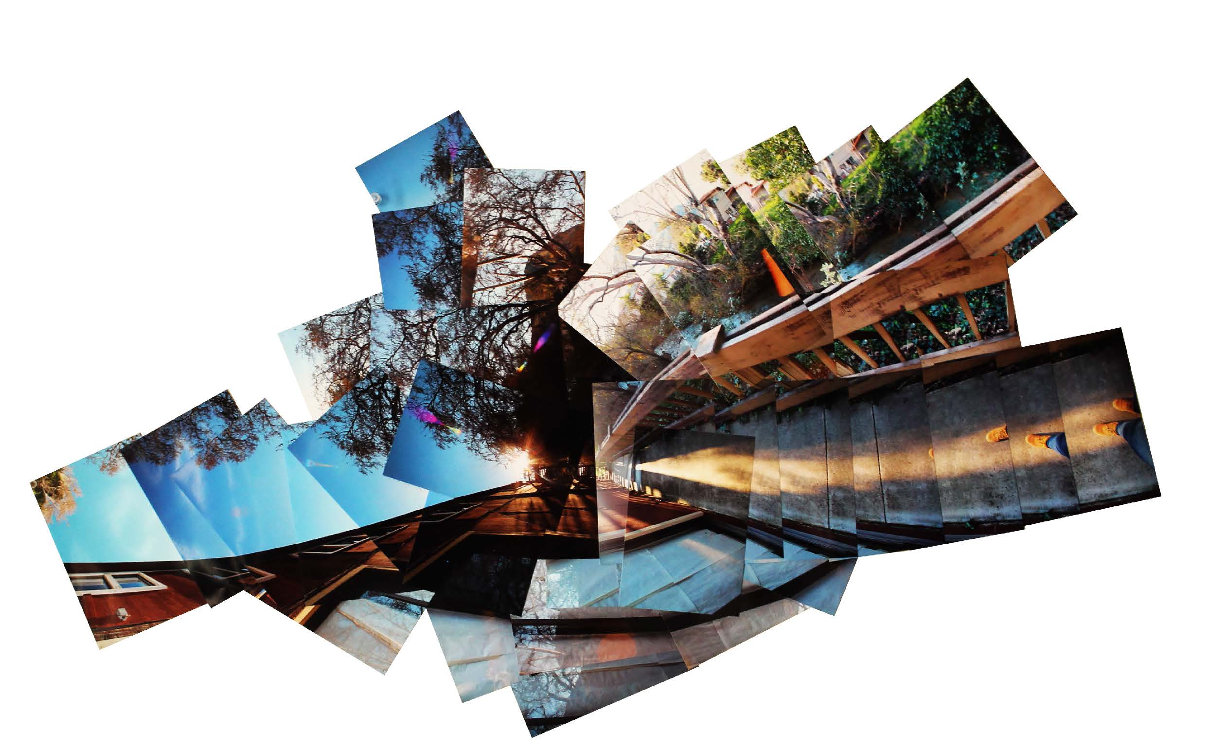 COLLAGE, ILLUSTRATION, AND PHOTOGRAPHY