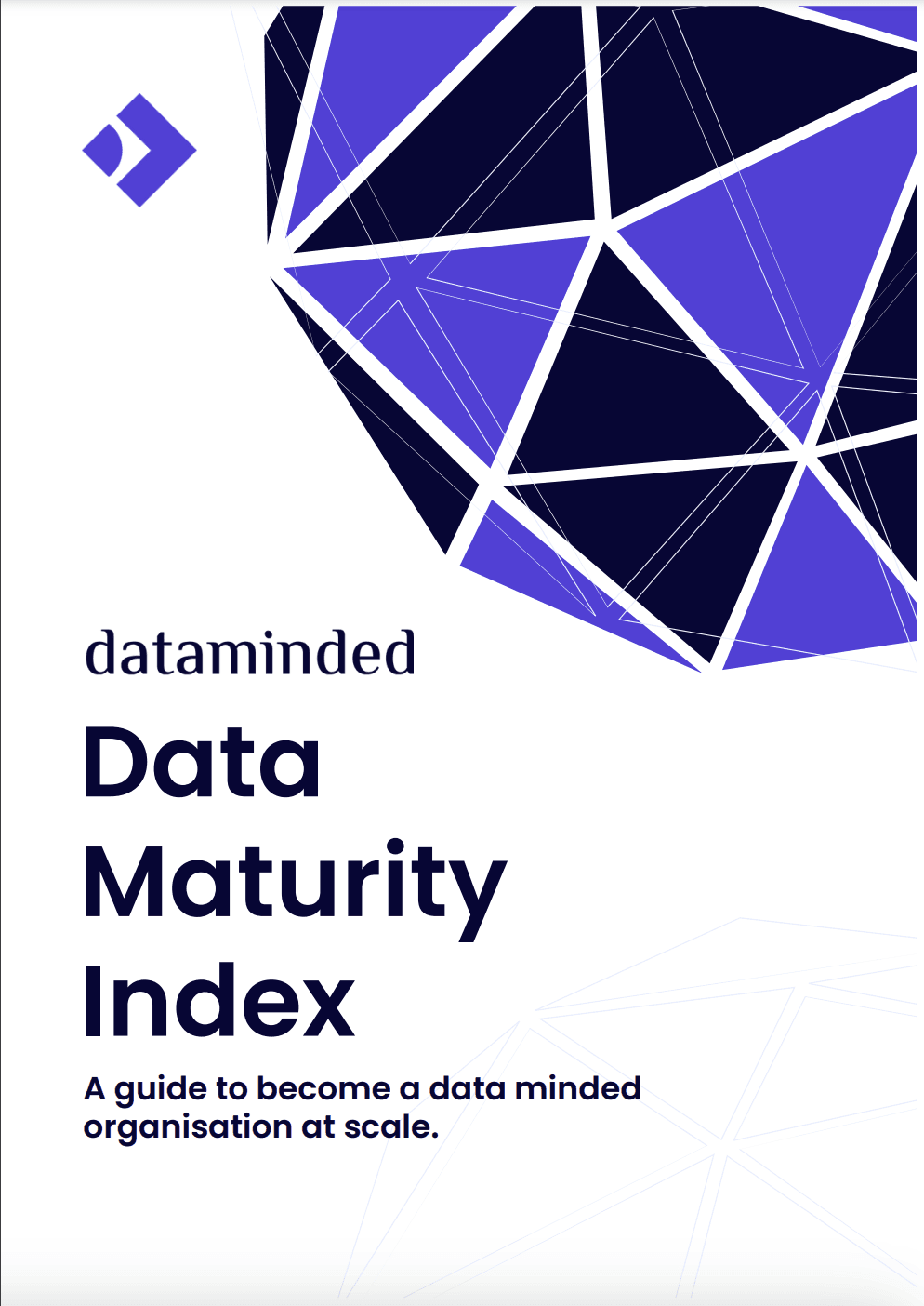 data maturity index