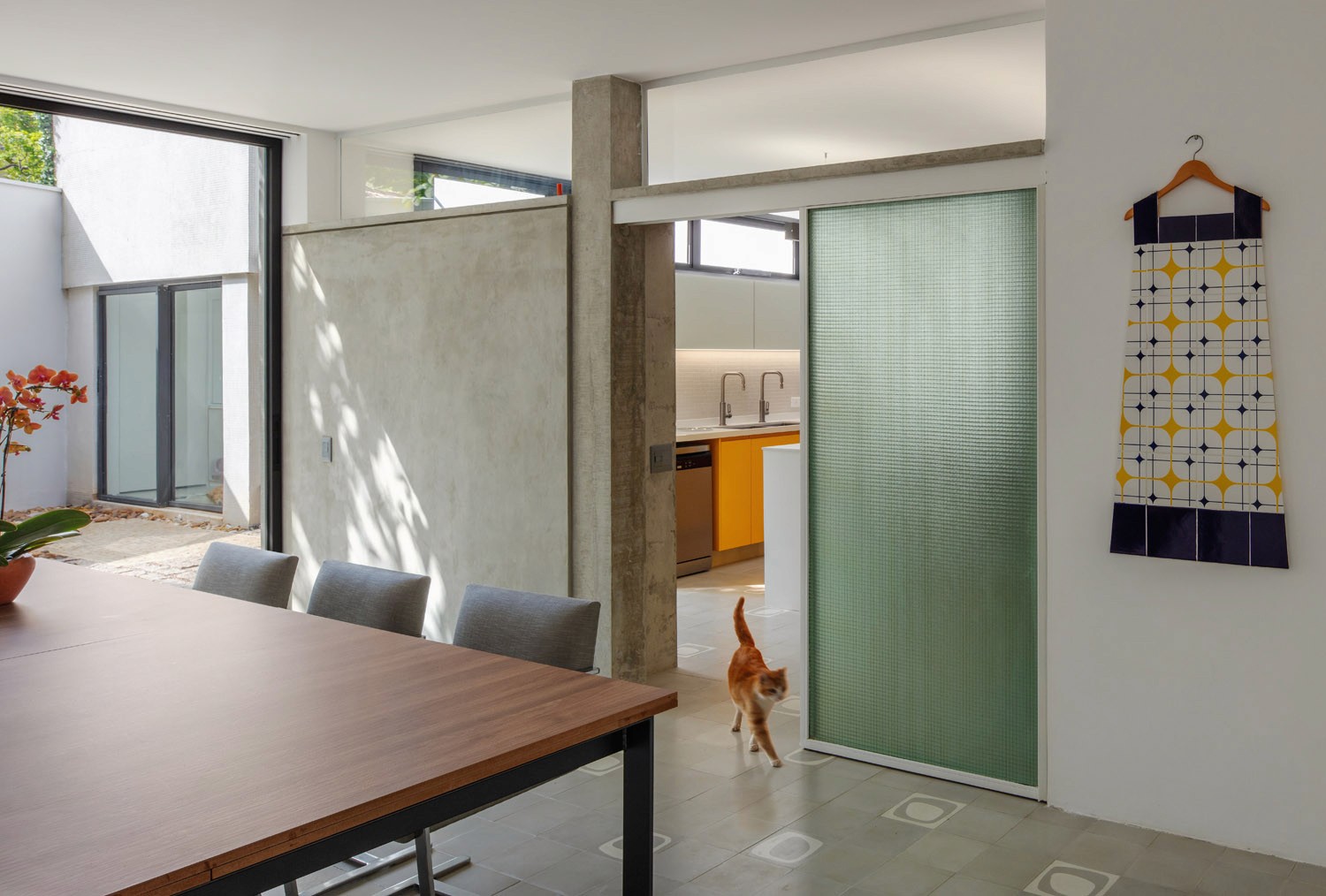 Dining table and cute cat