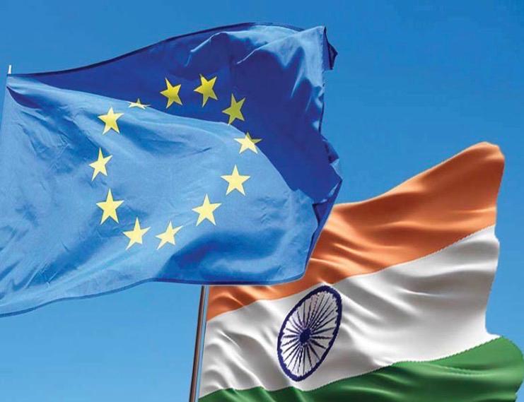 Close-up of lush, dark green leaves, some glossy and wet, against a muted background.