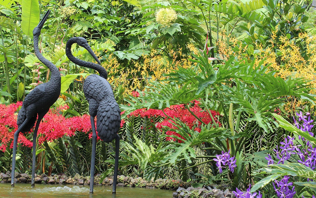国家兰花园内,鹤的雕塑被色彩鲜艳的兰花环绕。
