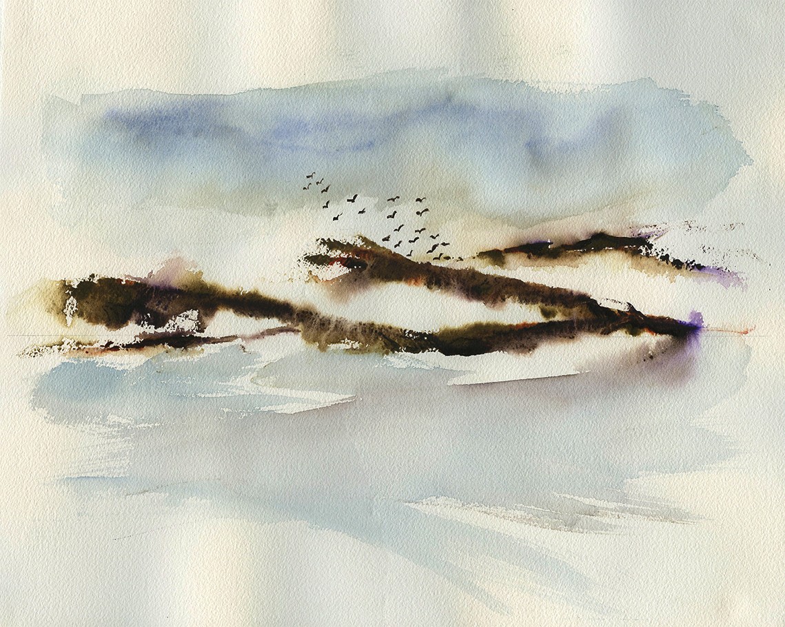 Birds In flight - 41/33cm - watercolour