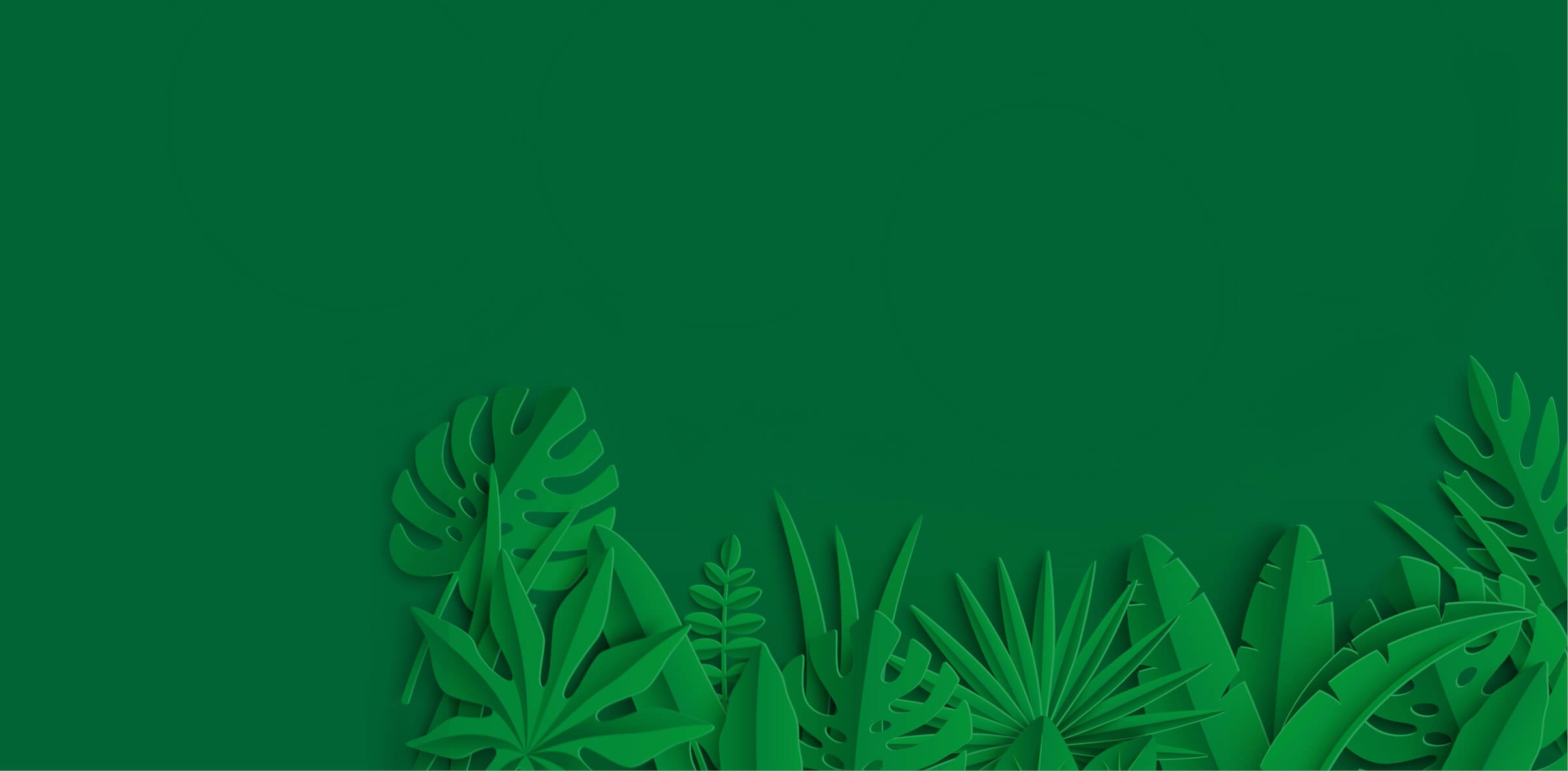 a black and white photo of a wall