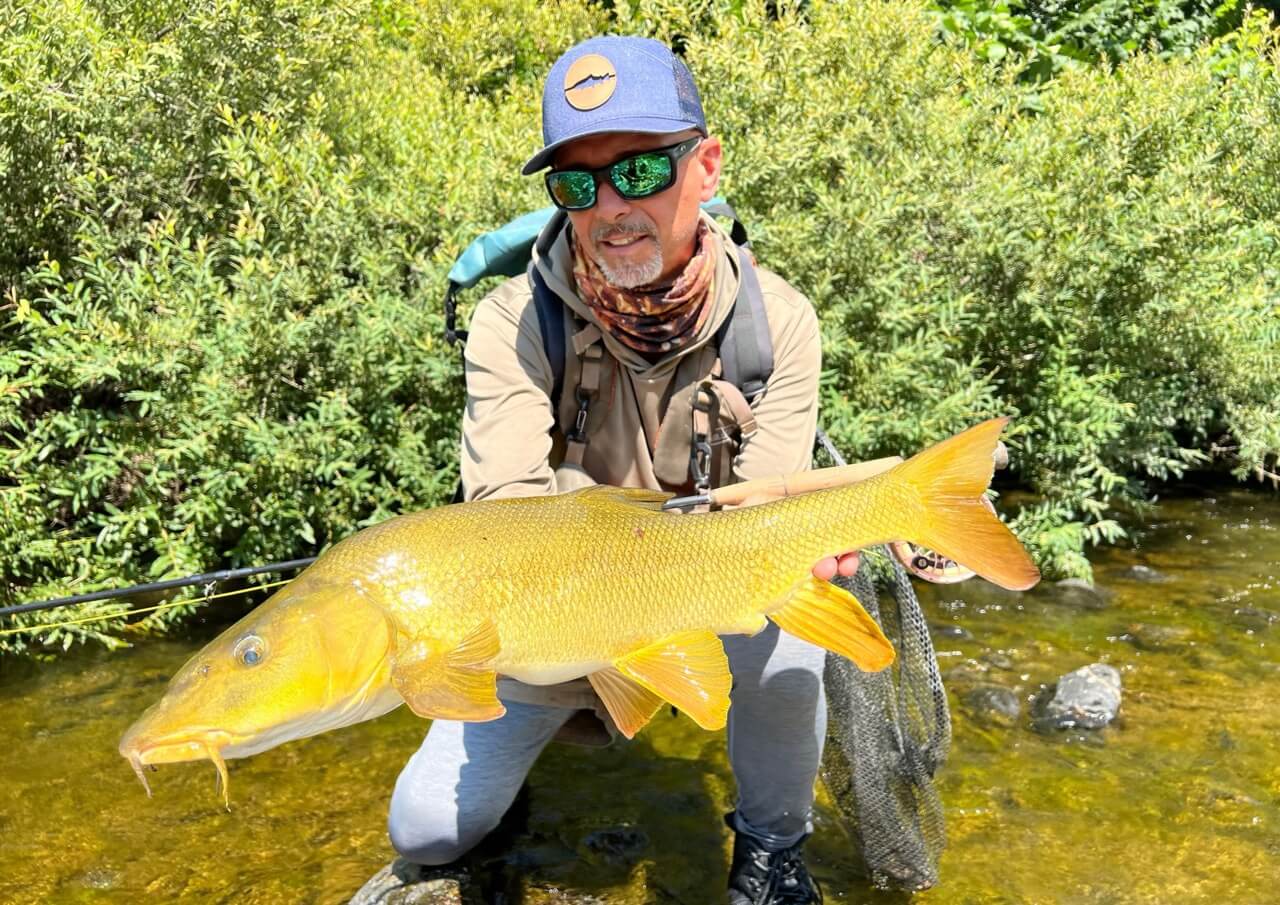 Po River barbel fishing on an Italy fly fishing holiday near Milan