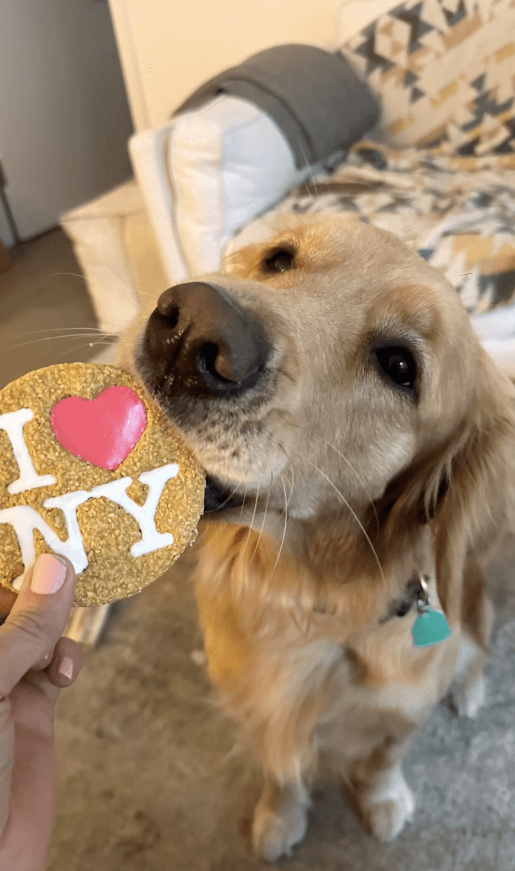 The Art of Desiging Gardens: A Detailed Step-by-Step Guide