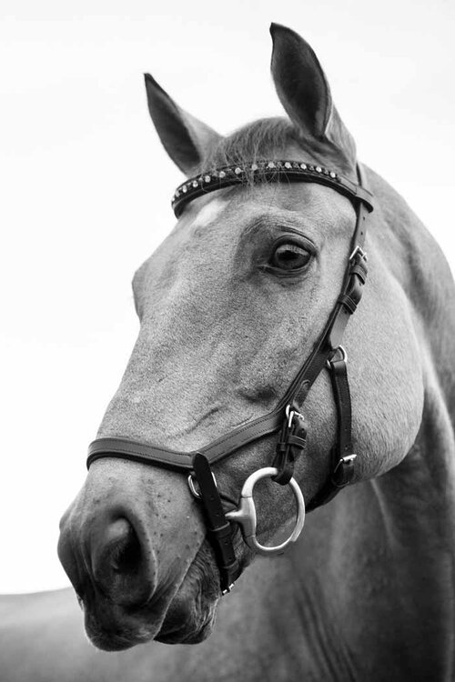 Flights to Tuscany by private jet - Etruscan hilltop towns Mediterranean coast