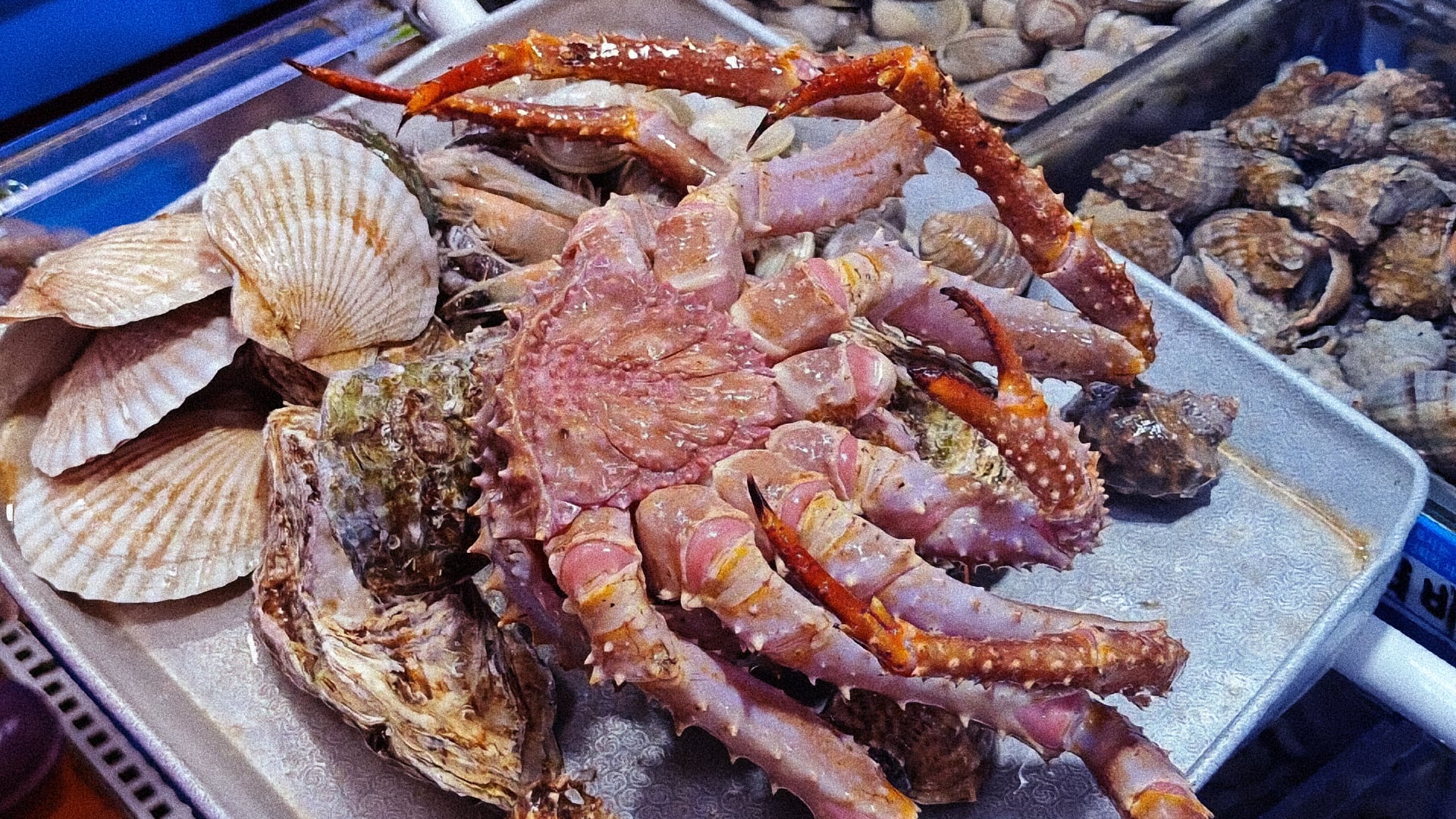 King crab tươi sống trên khay inox cùng sò điệp và hàu tại chợ hải sản Noryangjin Seoul