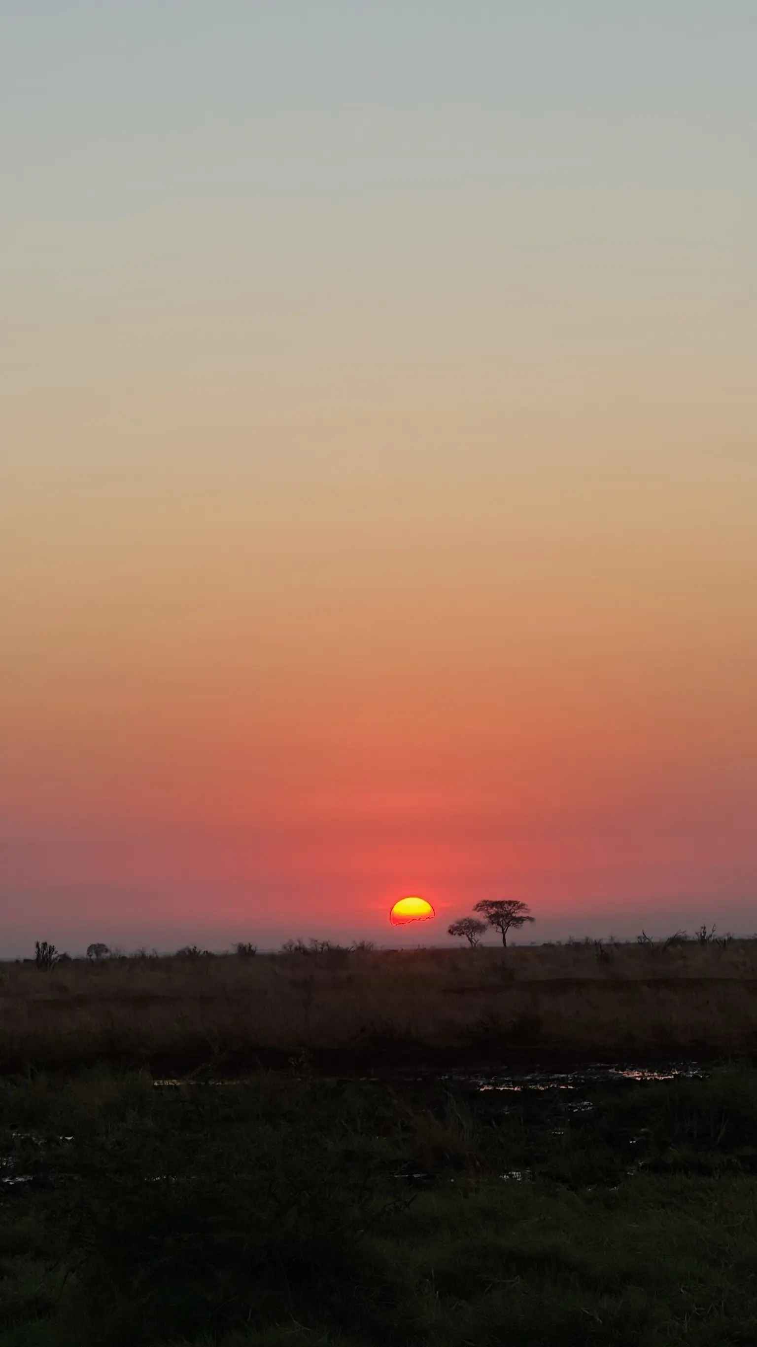 Usahili Tour in Kenya