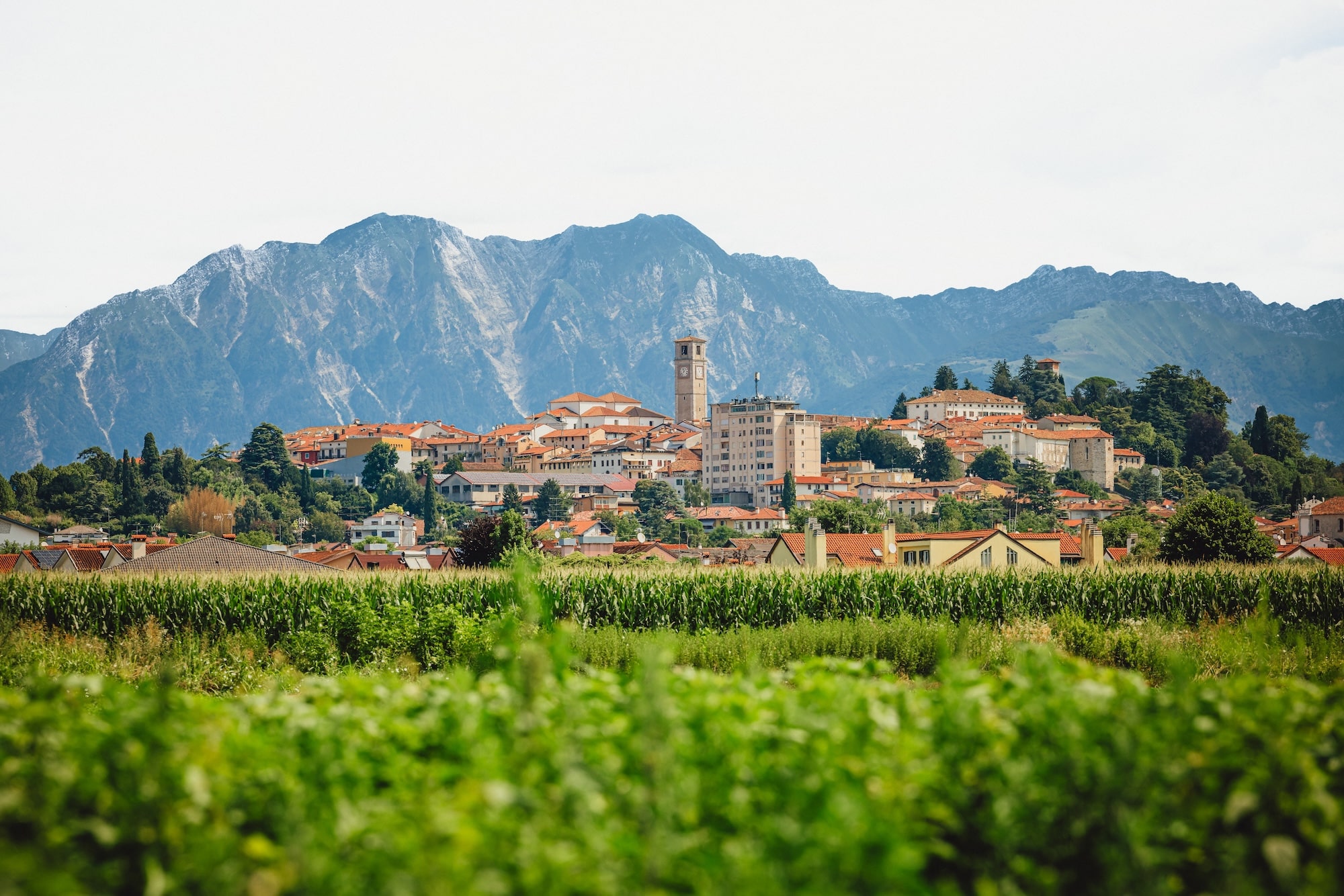 tenuta 1