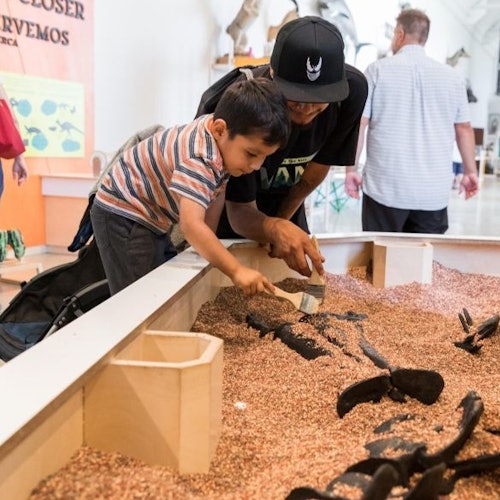 Enjoying the Discovery Center