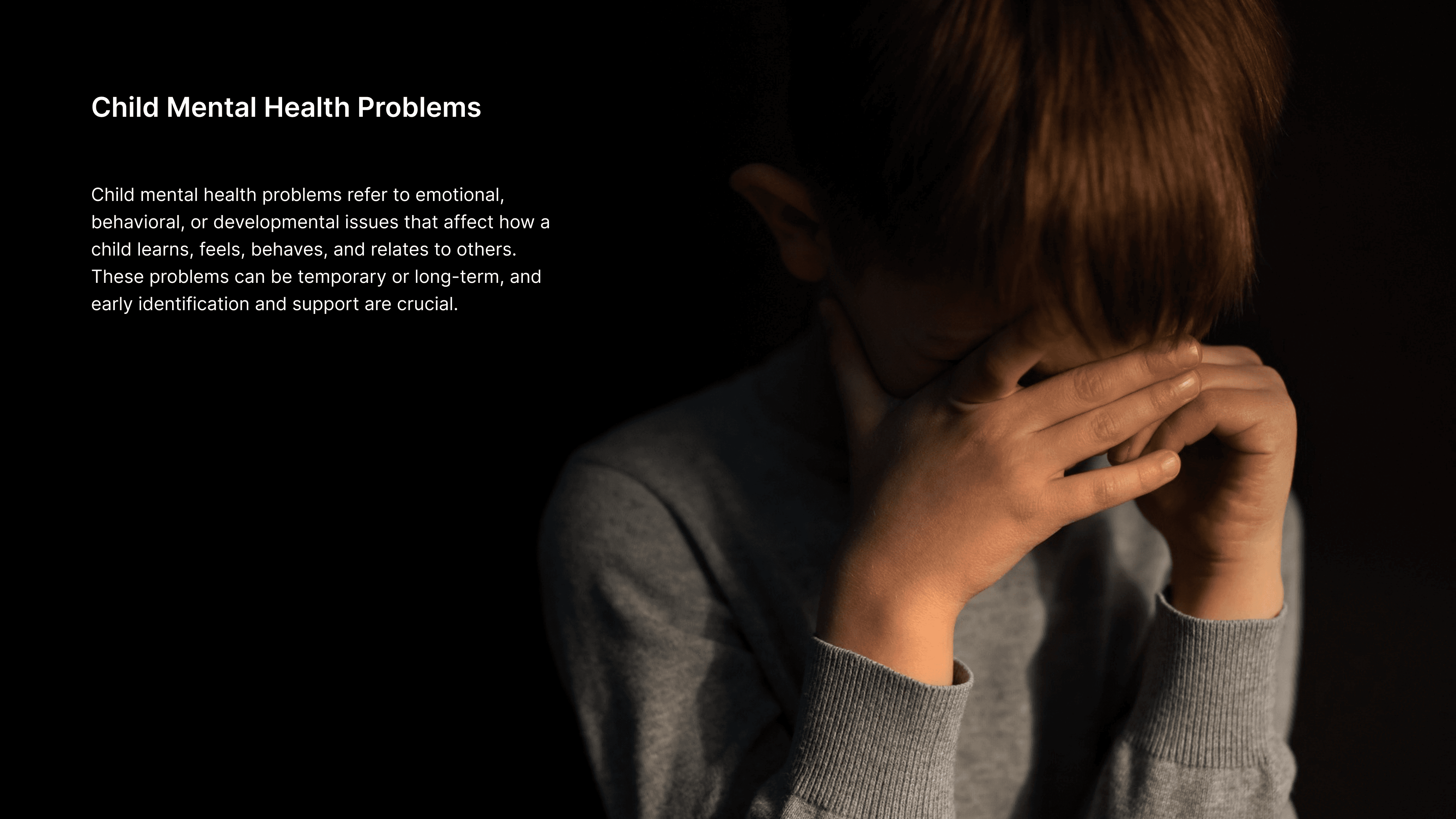 Large Project Gallery Image #1