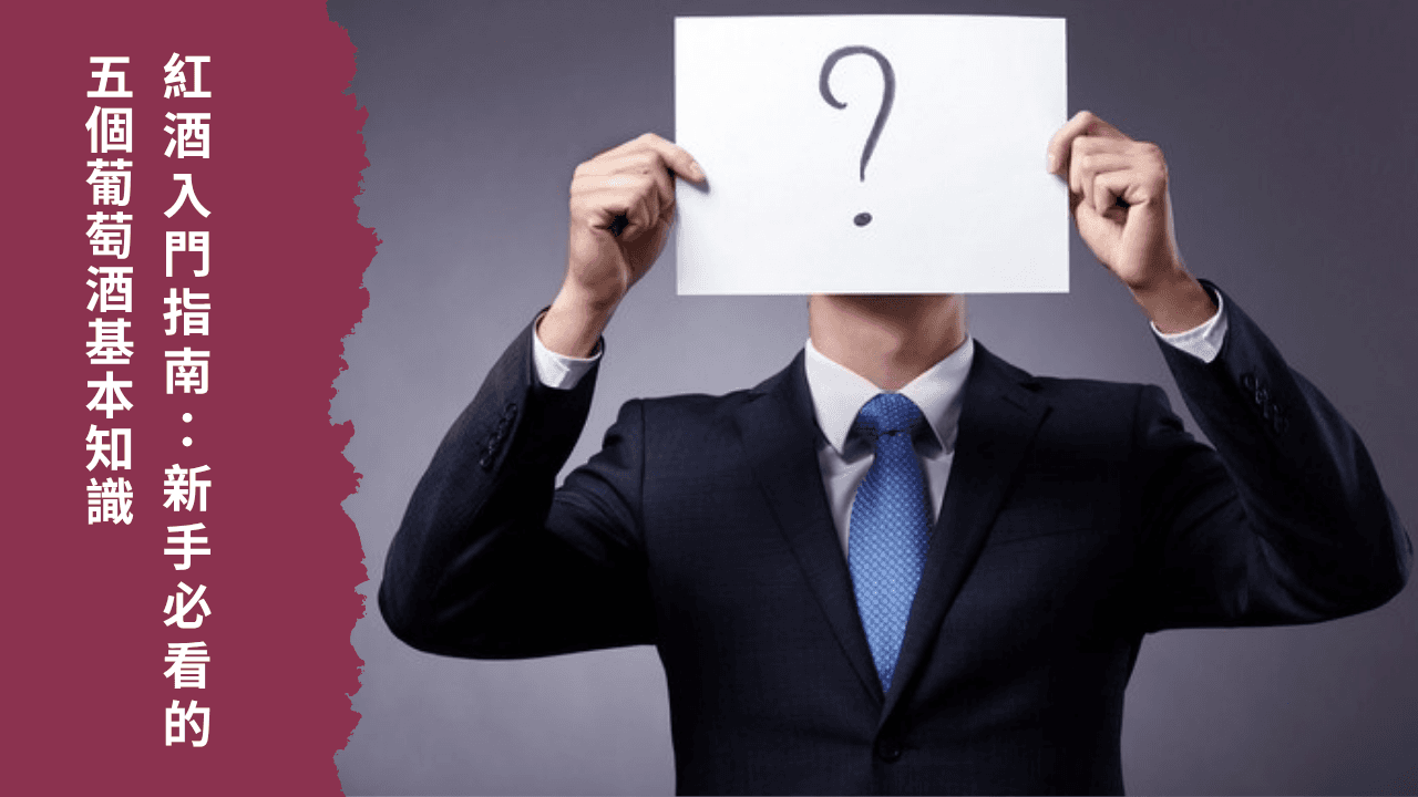 red-wine-beginner-guide-5-essential-wine-knowledge-for-newbies