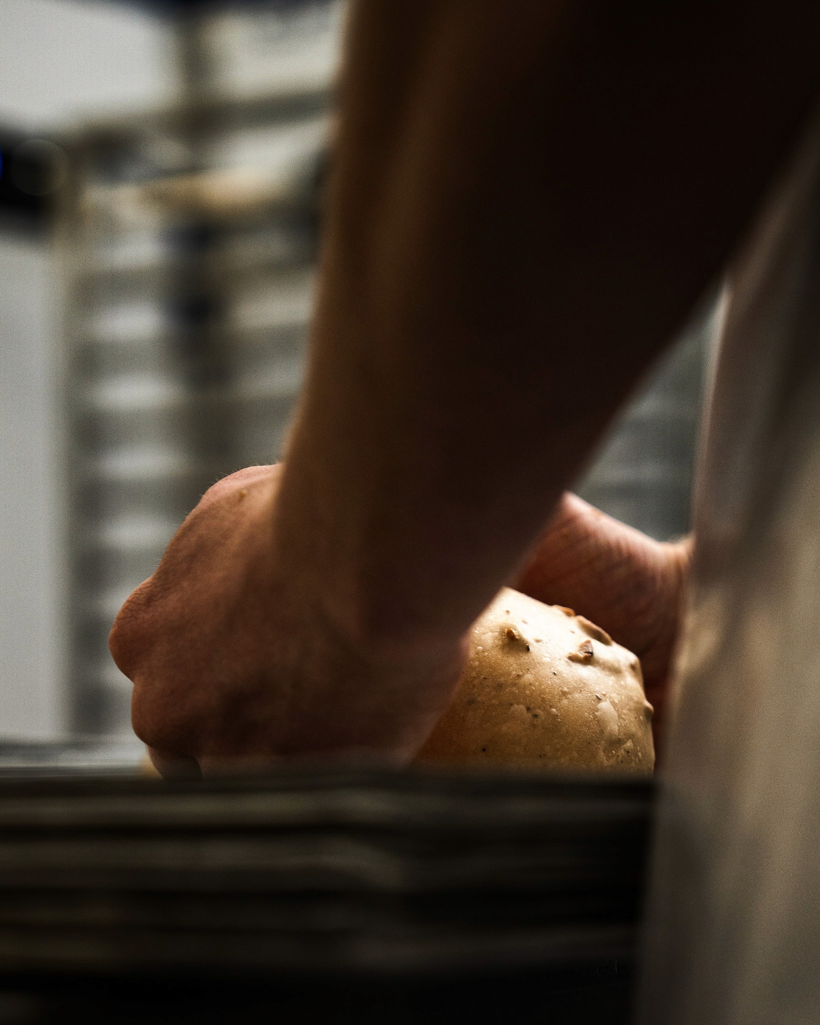 Fleur, Ortie, Photo de studio, Noir et blanc, pierretmae