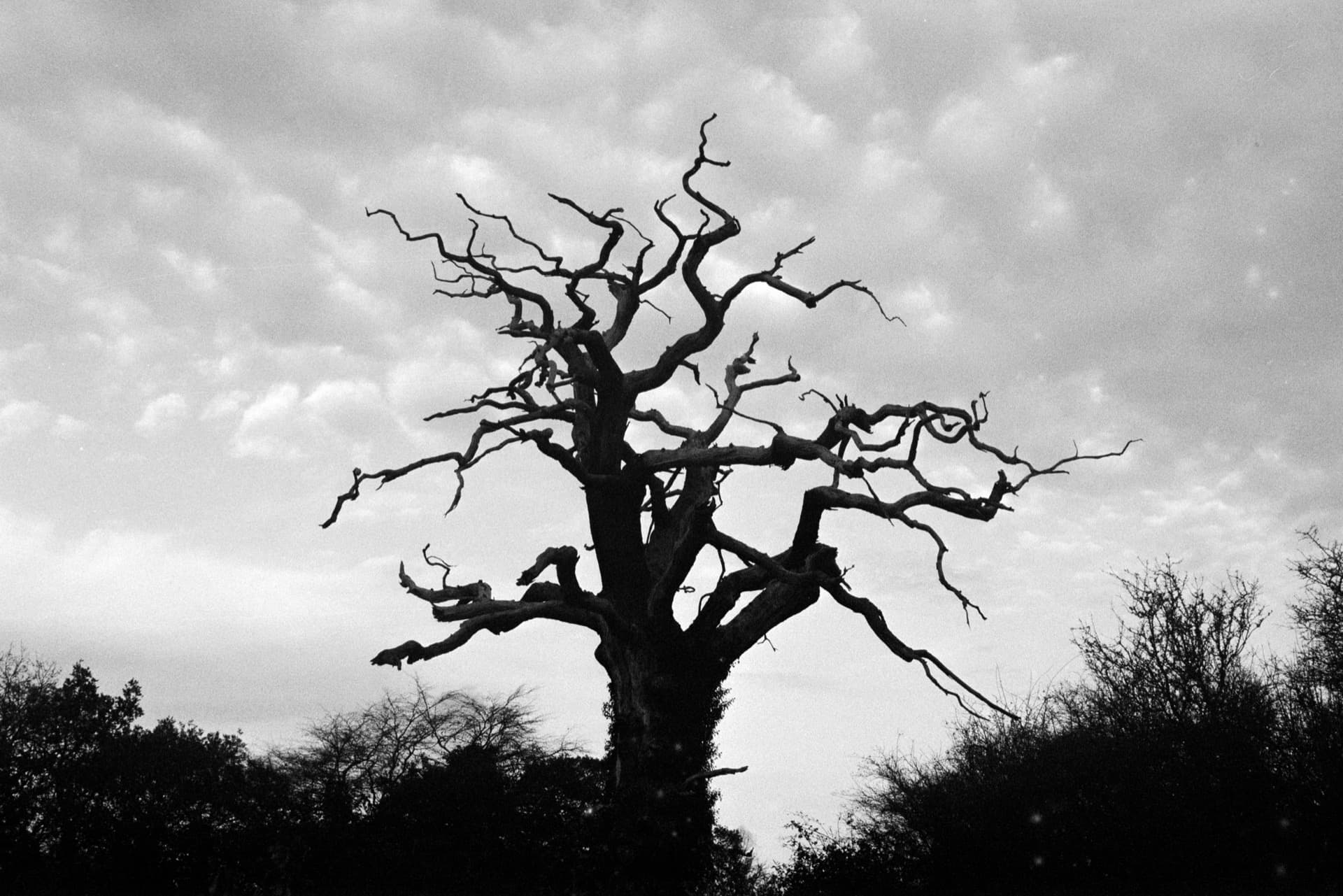 Brick stairwell with handrail and illuminated window at underground station