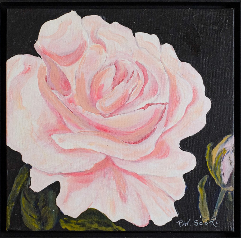 A pastel pink rose elegantly pops from the dark background.