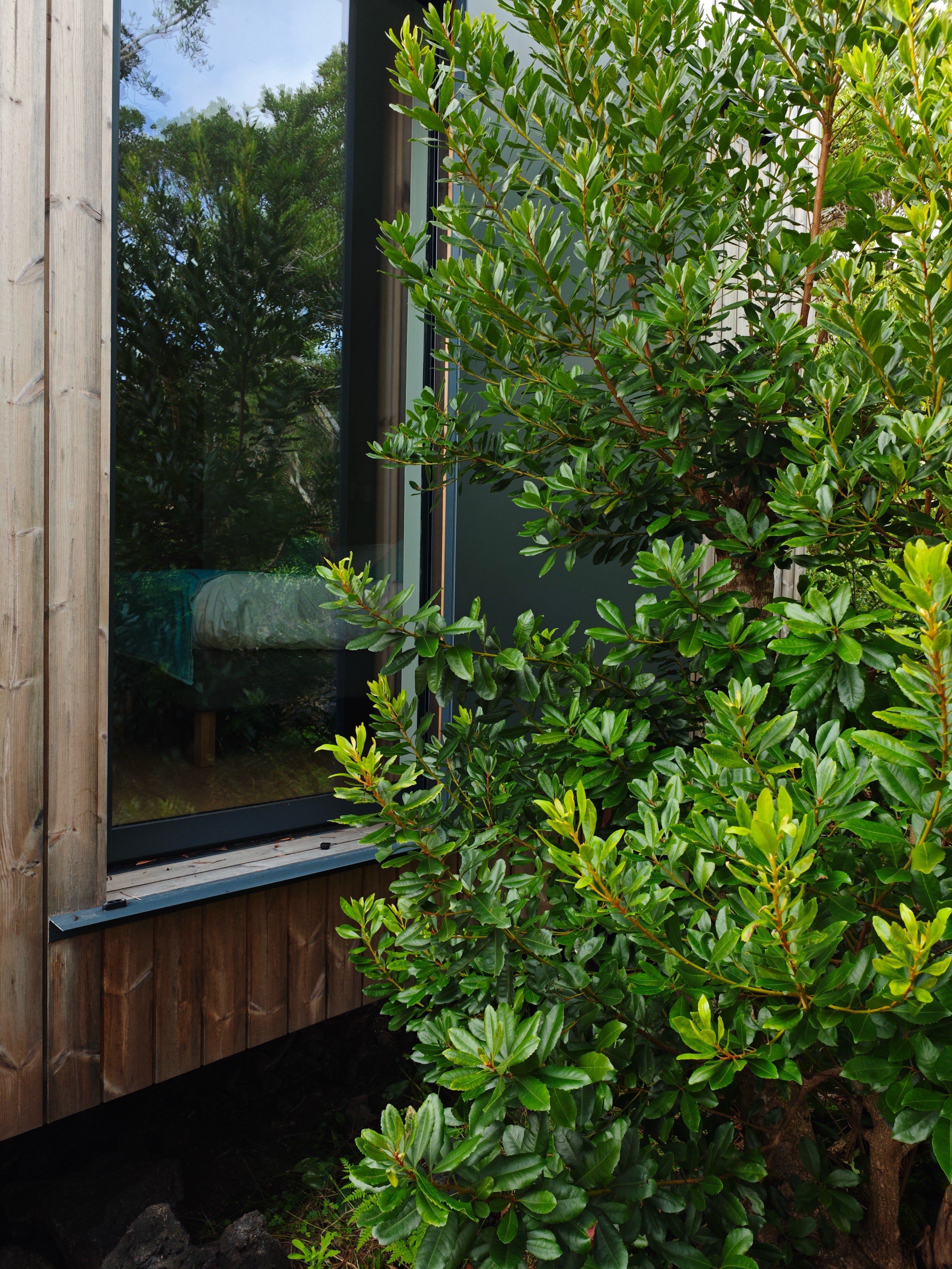 Exterior view of the bedroom window screened by surrounding trees