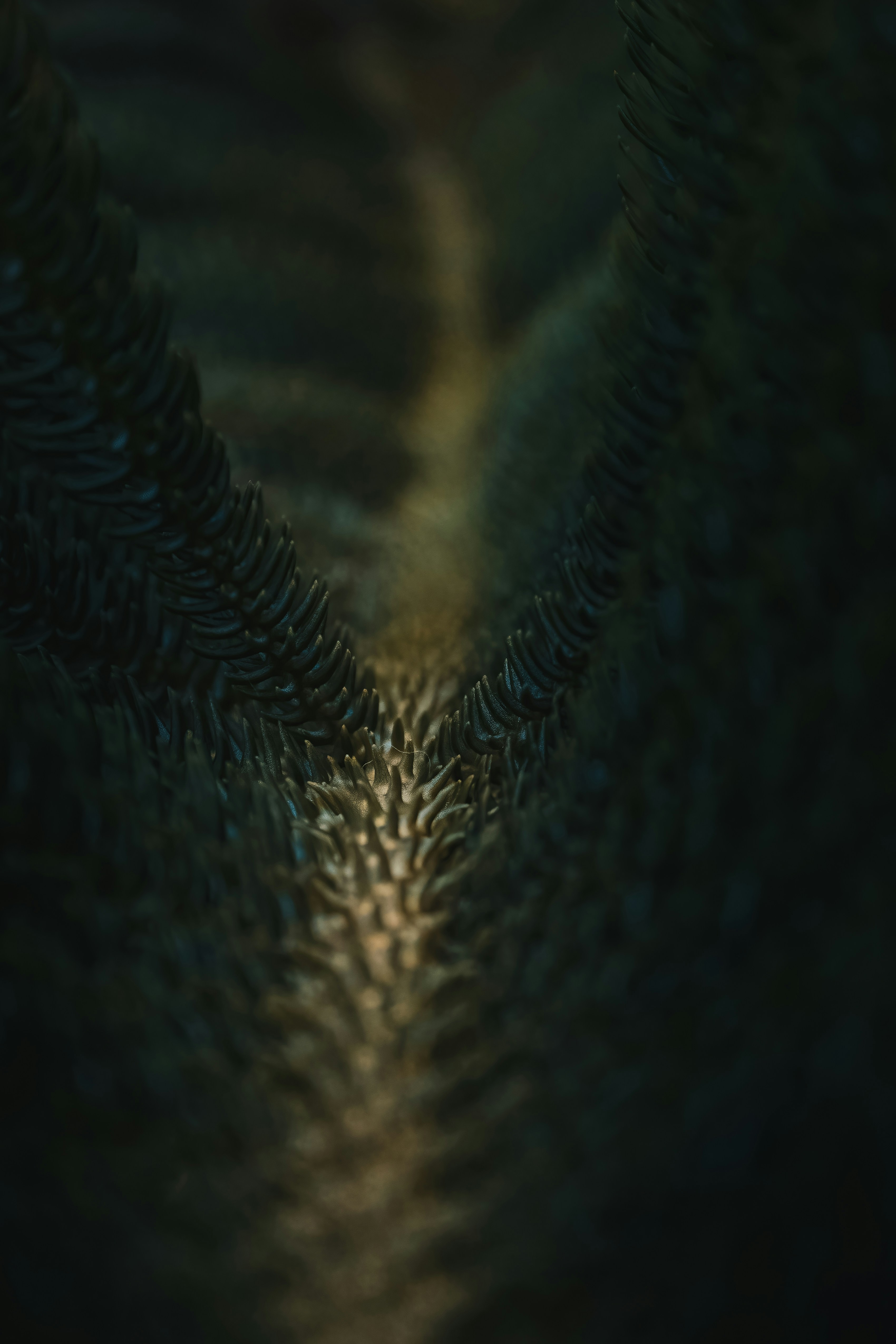 A smiling young man with crossed arms, wearing a plaid shirt and white t-shirt, poses against a dark background.