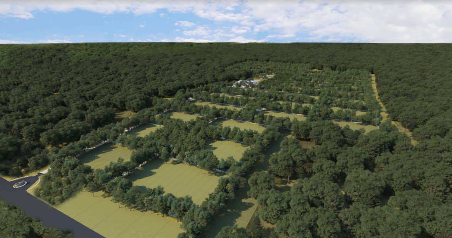 Land in Yucatan