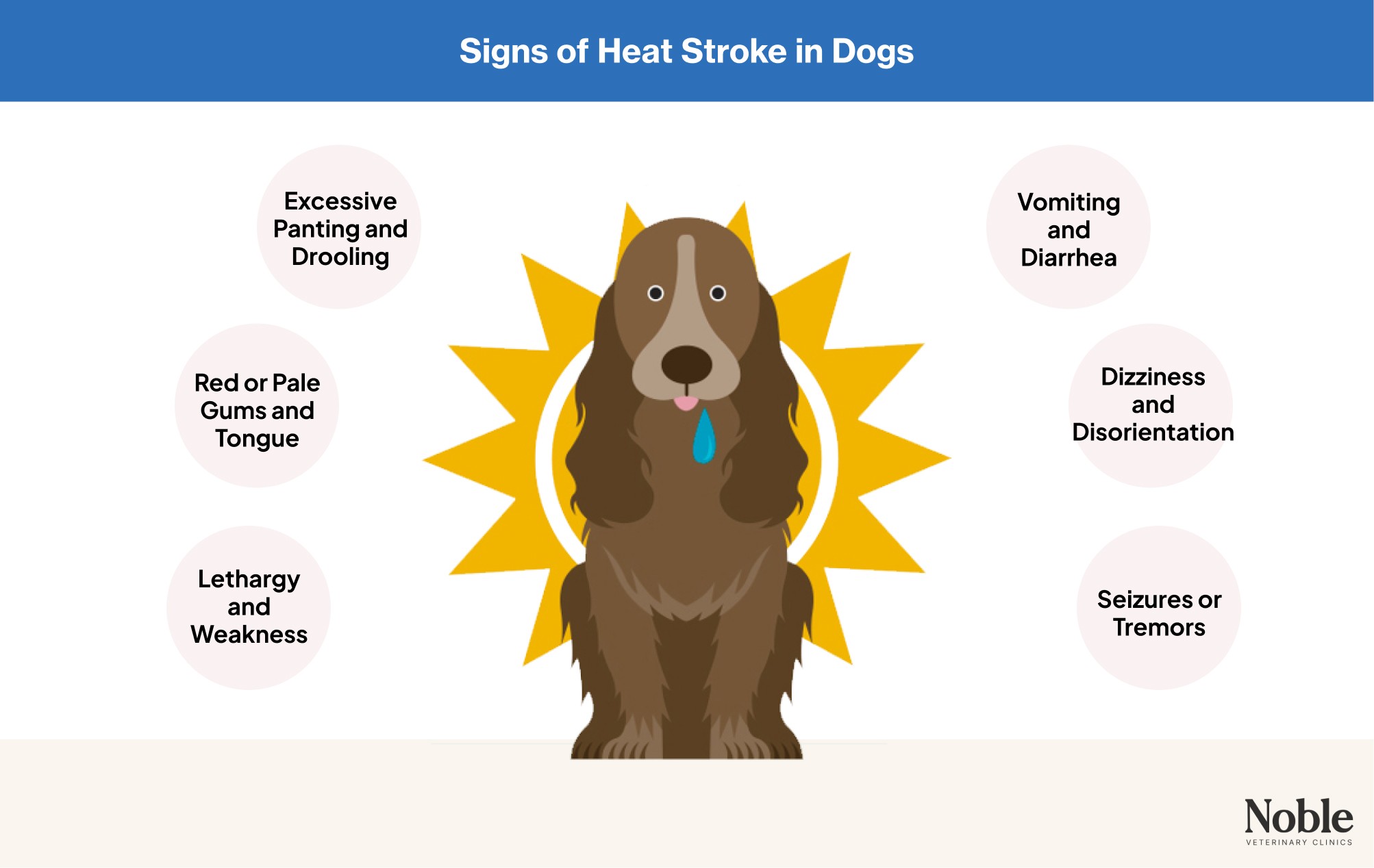 An infographic showing the common signs of heat stroke in dogs.