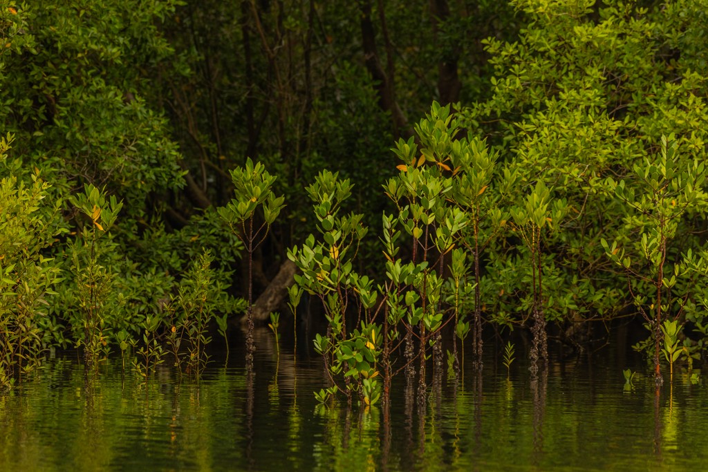 Photo credit Anthony Ochieng Onyango