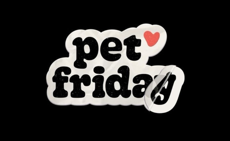 Com “Pet Friday”, Petlove oferece promoções e descontos ao longo de novembro