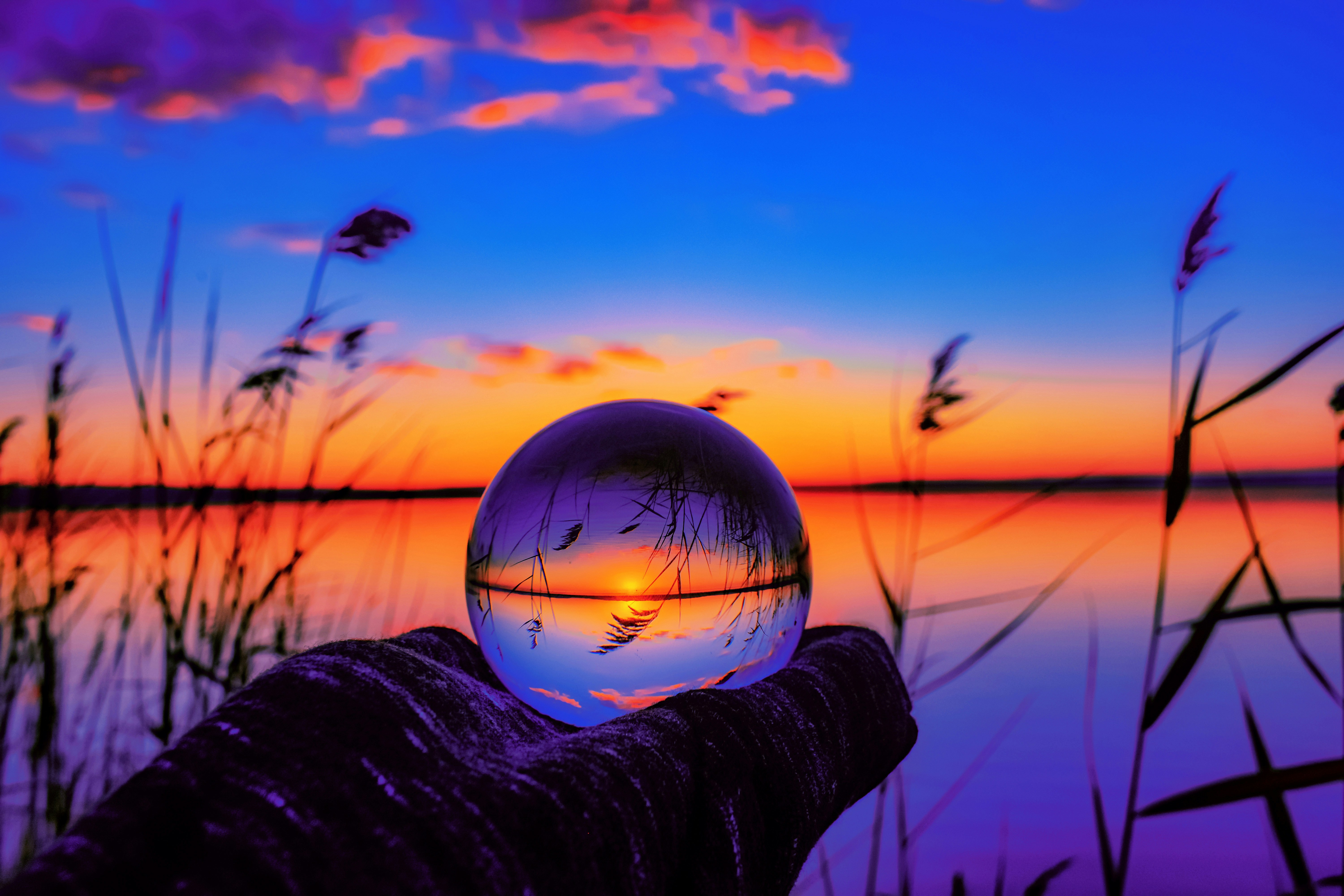 Orange Horizon