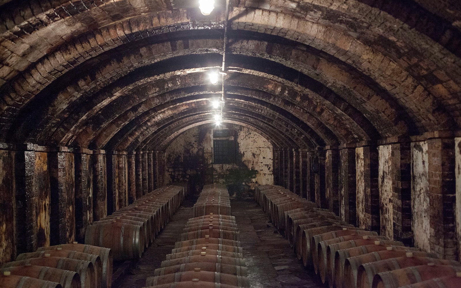 Vinfat i en svakt opplyst toskansk vinkjeller for VIP halvt privat vintur.