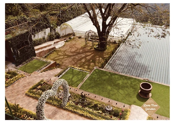 Love Tree — real celebration at Lazuri Tagaytay