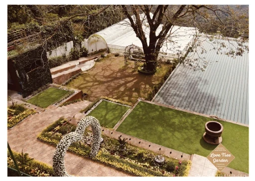 Love Tree — real celebration at Lazuri Tagaytay