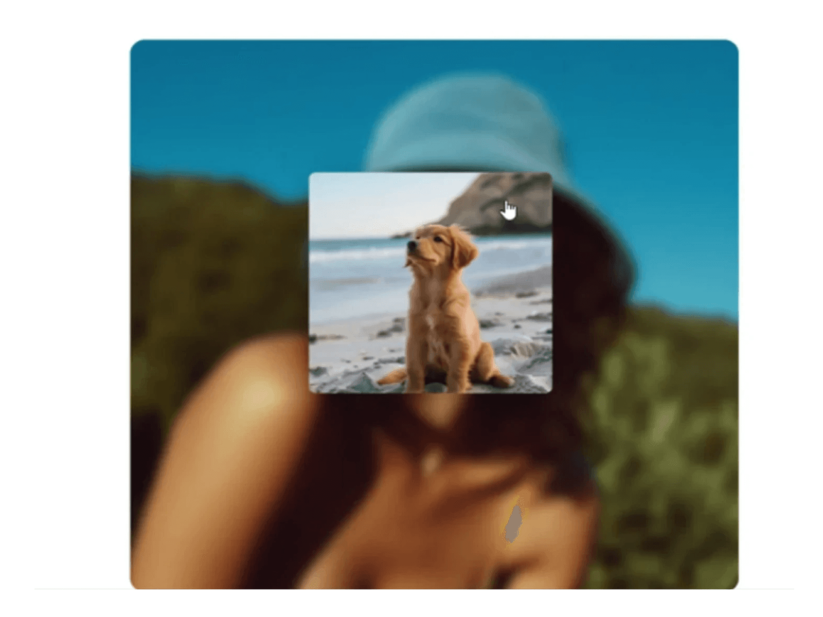 Framer中文网免费组件模板、Framer组件、Framer模板、Framer教程、Framer汉化