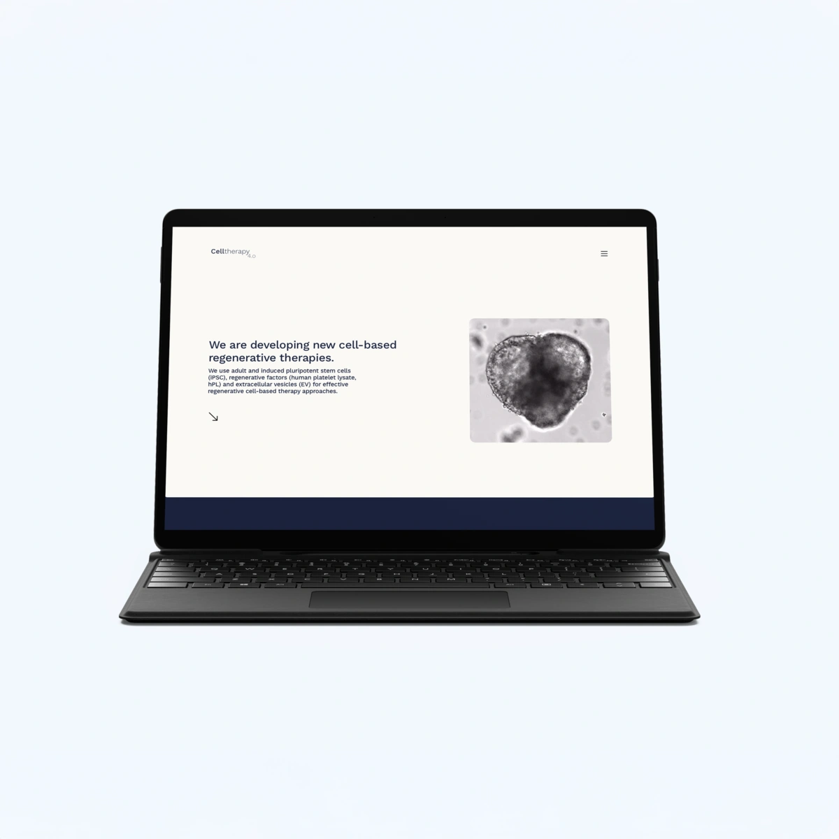 Gerade Laptopansicht mit Biotech-Webseite zu Zelltherapie und Stammzellenforschung, inklusive mikroskopischem Zellbild.