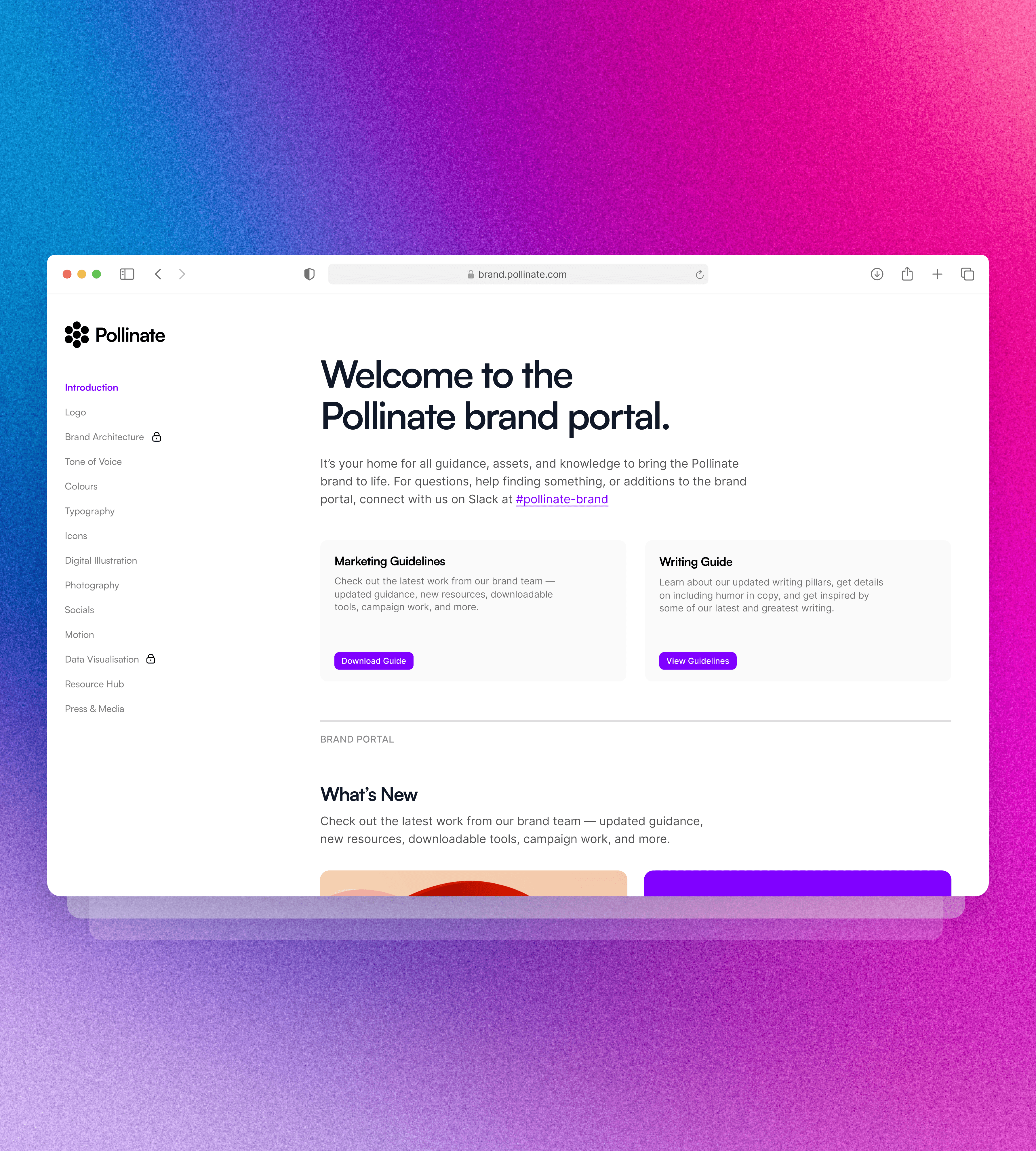 various brand elements showcasing designer use cases