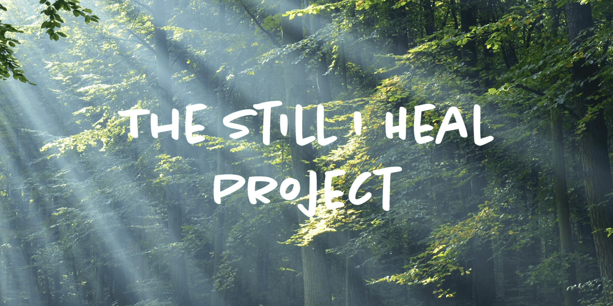 Sunlight streams through a lush green forest canopy with the text "THE STILL I HEAL PROJECT" overlaid in bold white letters, creating a serene and hopeful tone.