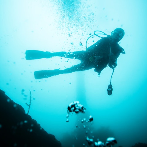 Alanya: Sukellusretki lounaan kanssa liput Alanyassa