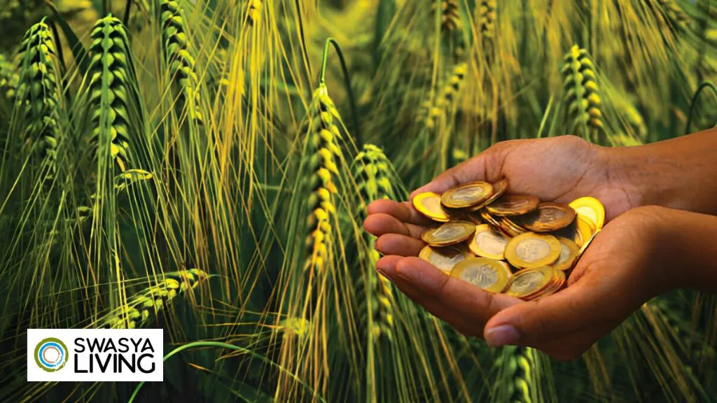 How to Buy Farmland in 2025